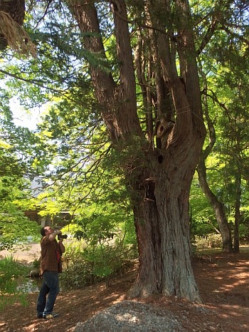 この巣箱を探せ！